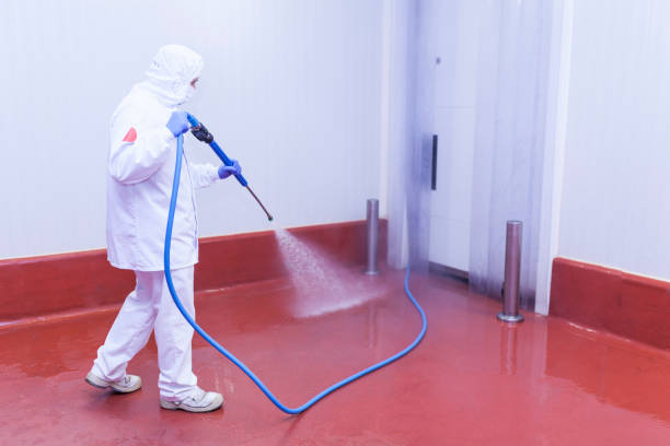 Reliable Woodlynne, NJ Pressure Washing Services Solutions